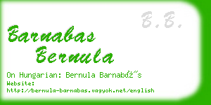 barnabas bernula business card